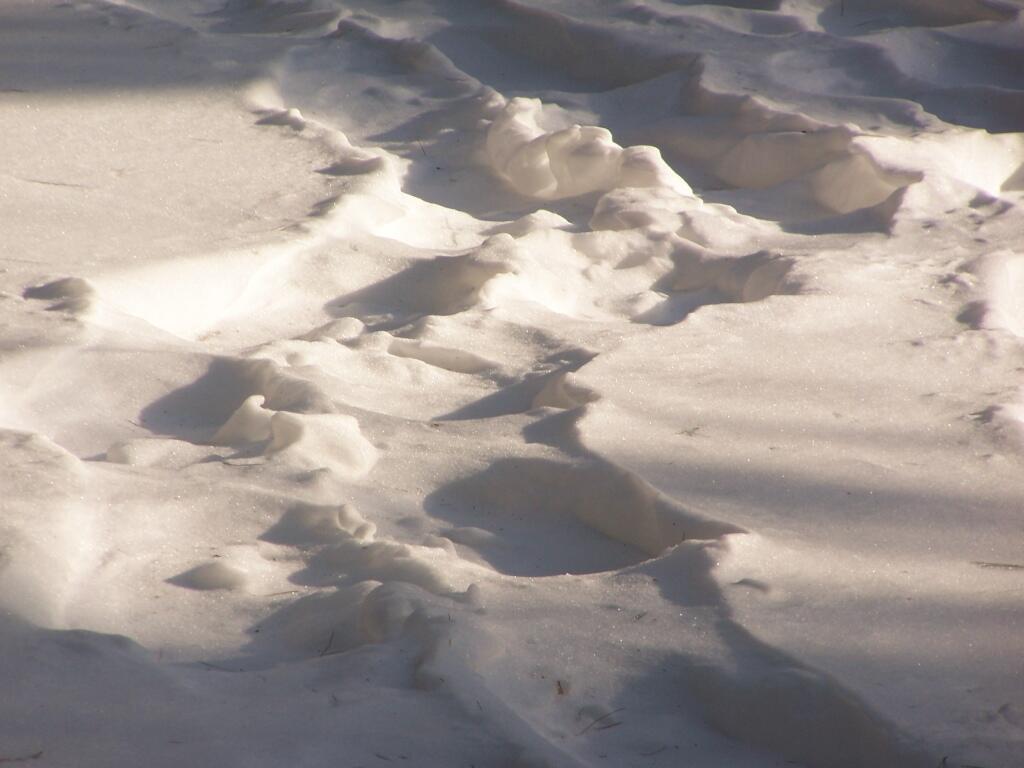 Photo: Bigfoot Prints in the Snow Photo: Bigfoot Prints in the Snow