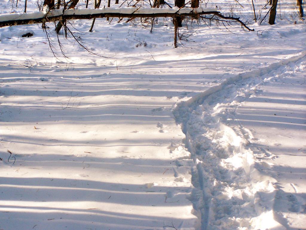 Photo: Snowshoe Path Photo: Snowshoe Path