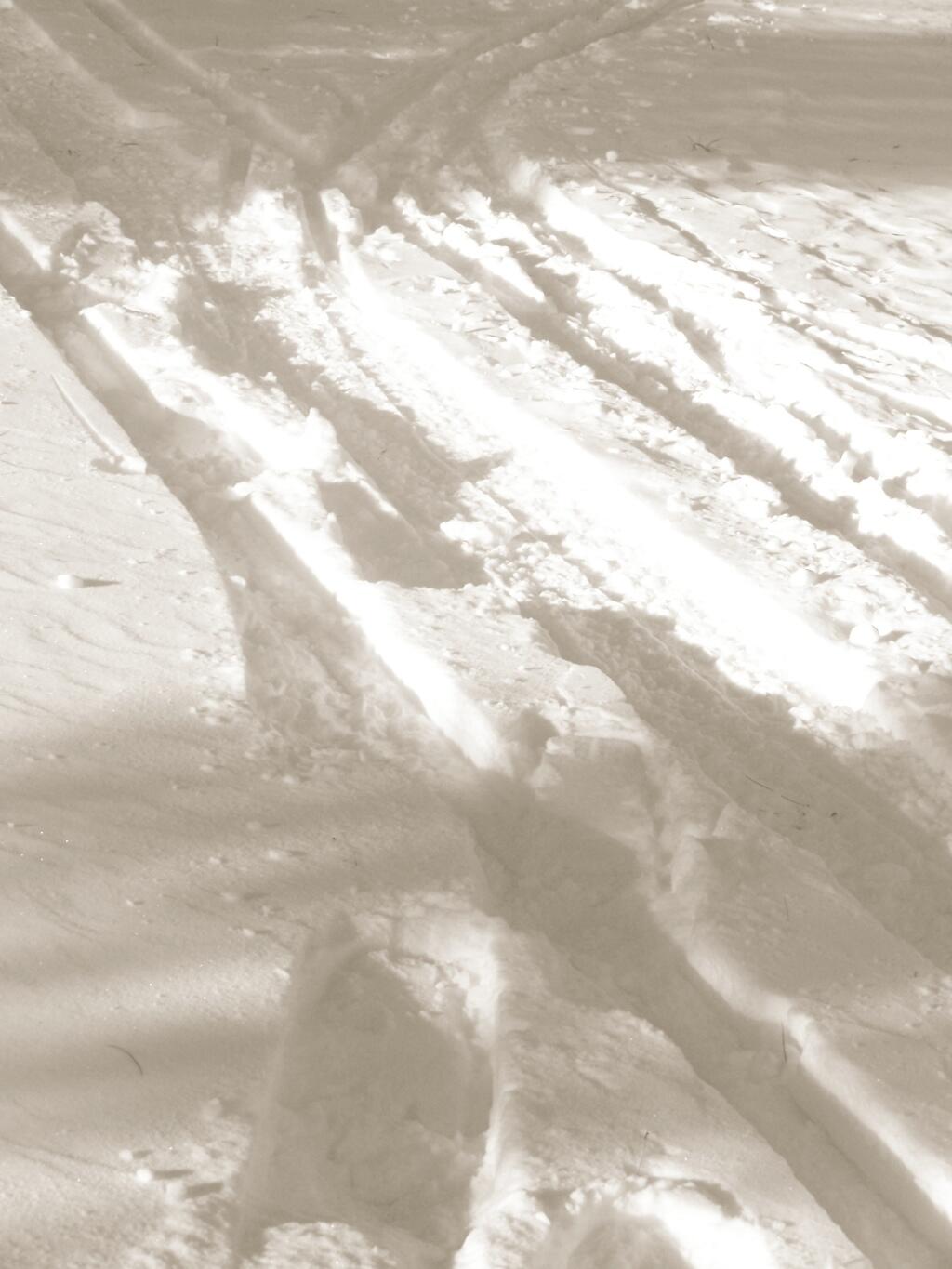 Photo: Snowmobile and Ski Paths Diverge Photo: Snowmobile and Ski Paths Diverge