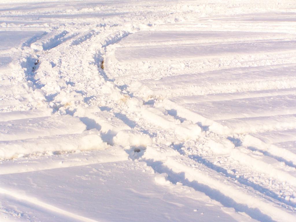 Photo: Snowmobile Tracks