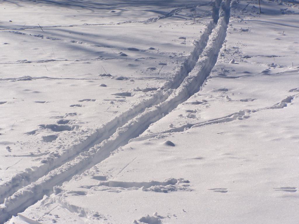 Photo: Ski Trail Photo: Ski Trail