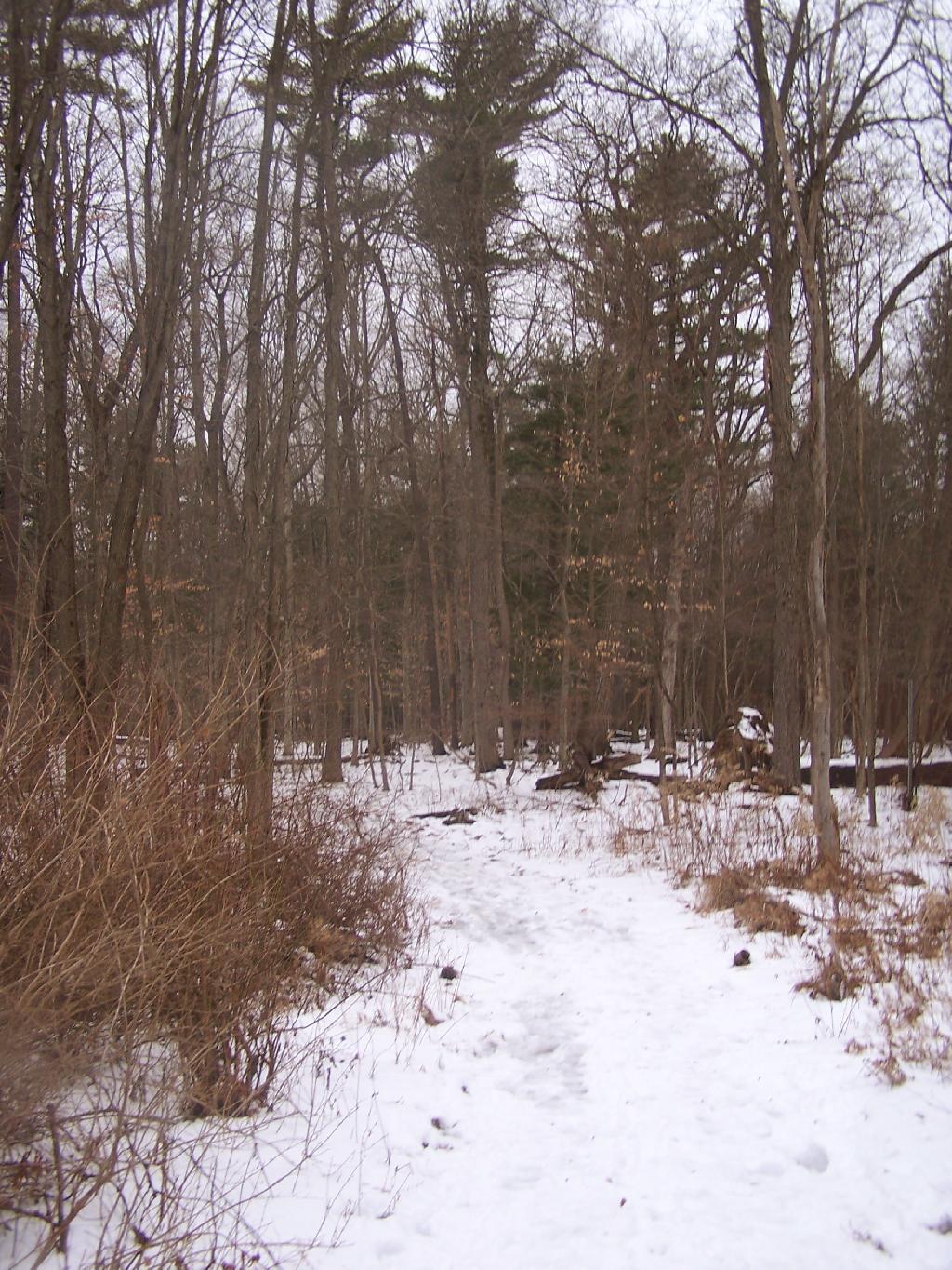 Photo: North Trail Photo: North Trail