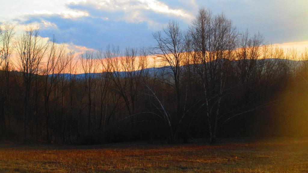 Photo: Evening