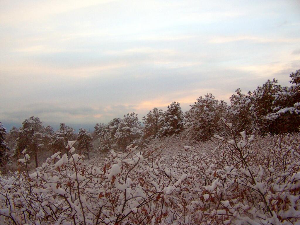 Photo: Setting Sun