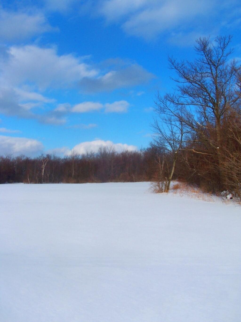 Photo: Crossing a Snow Covered Field Photo: Crossing a Snow Covered Field