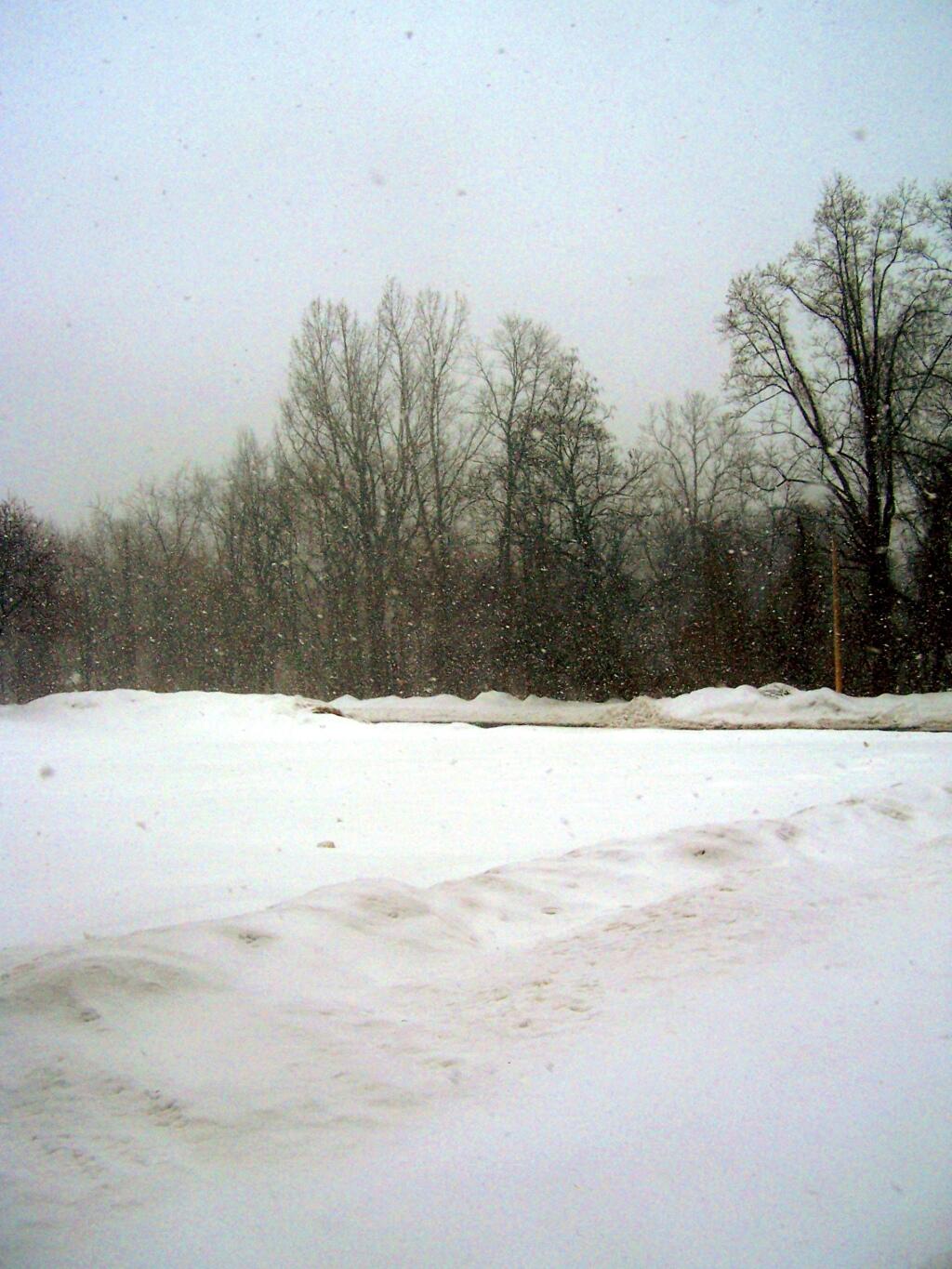 Photo: Heavy, Wet Snow Dropping Out of Sky Photo: Heavy, Wet Snow Dropping Out of Sky