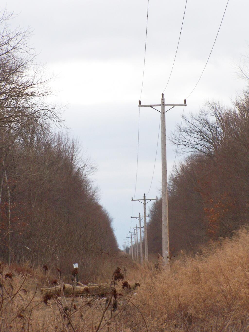 Photo: NiMo Right of Way
