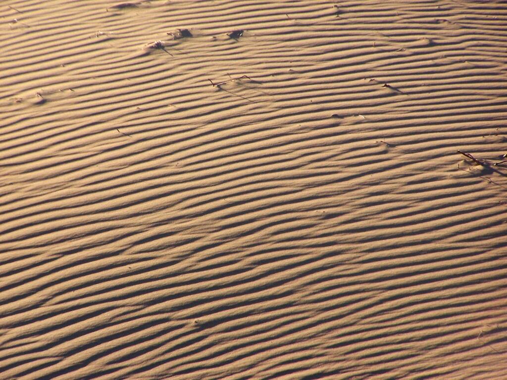 Photo: Windswept Sand