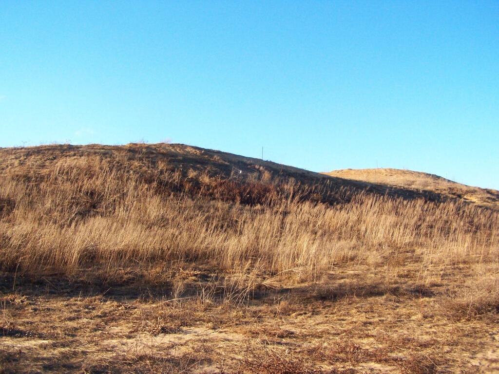 Photo: Sand Dunes