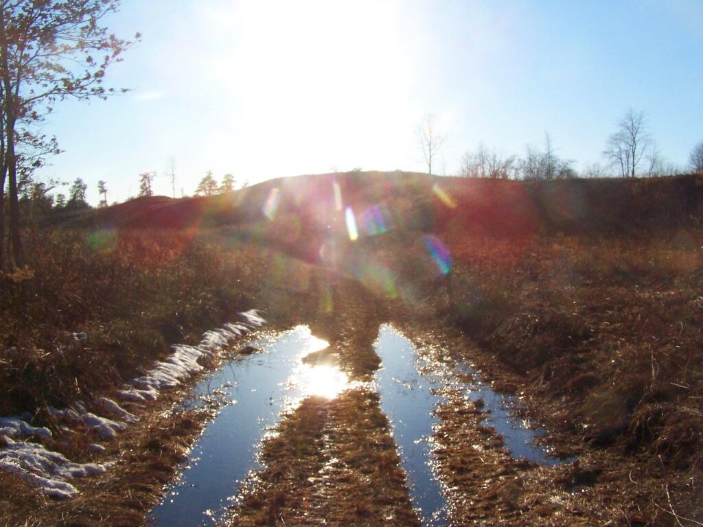 Photo: Sparkling Sun