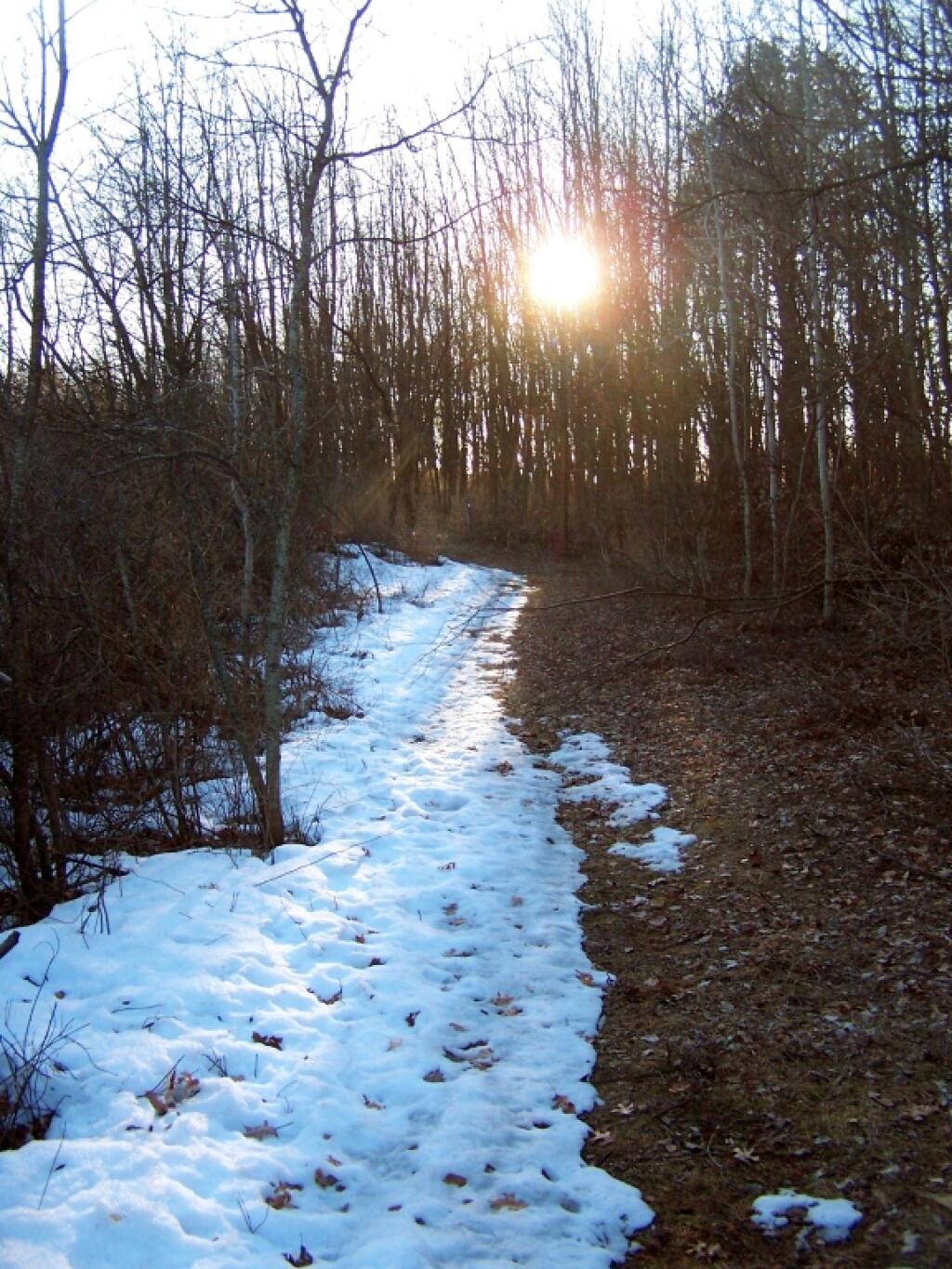 Photo: Setting Sun