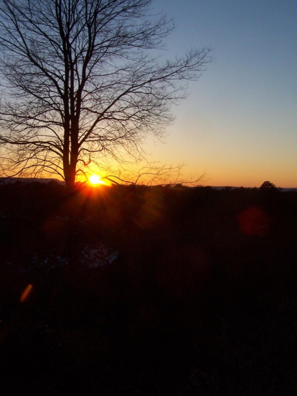 Photo: Untitled