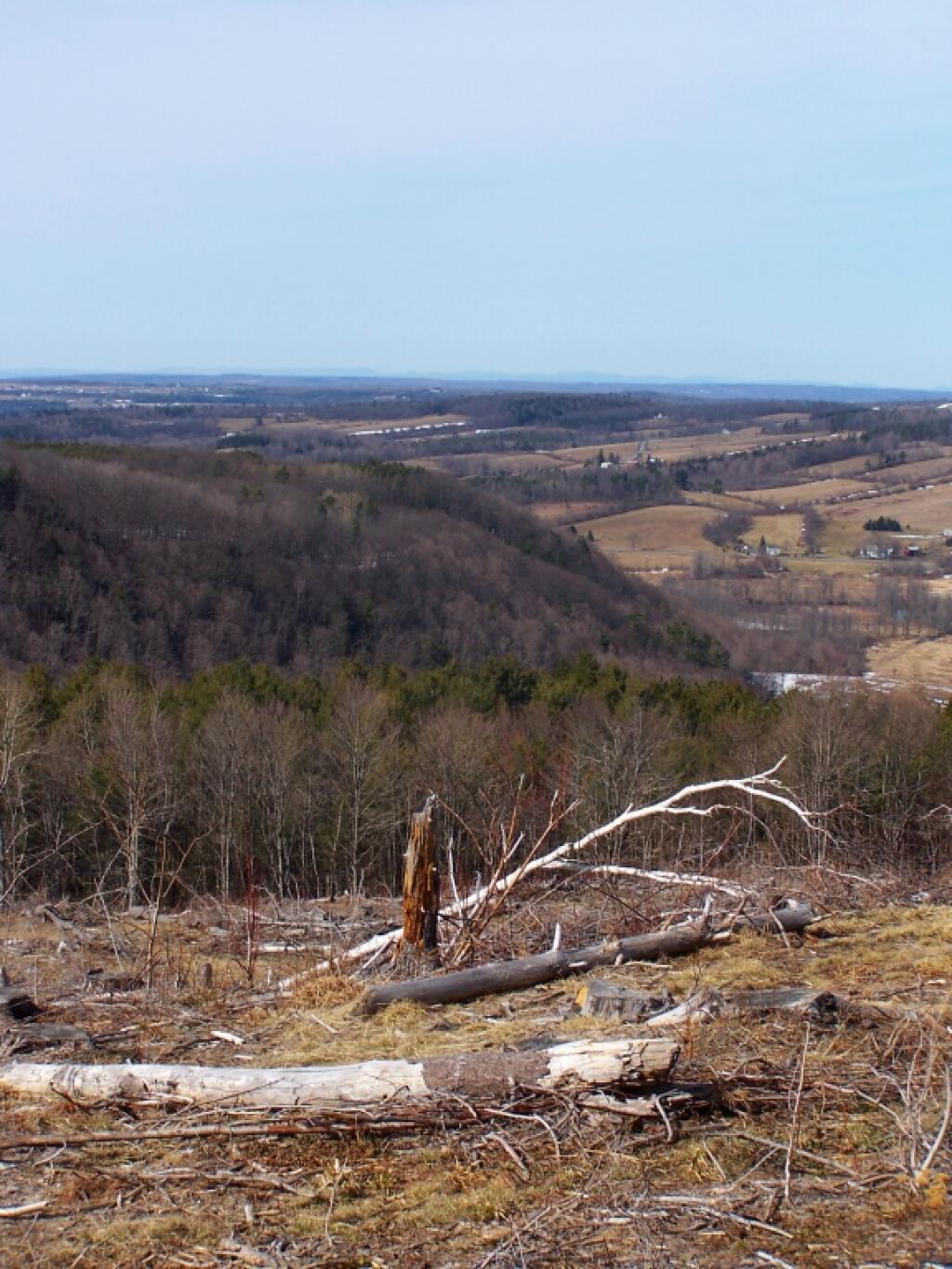 Photo: Looking Down Towards Irish Hill