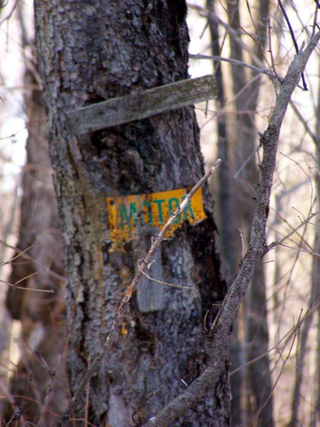 Photo: Shot Up Motor Vehicle Trail Sign