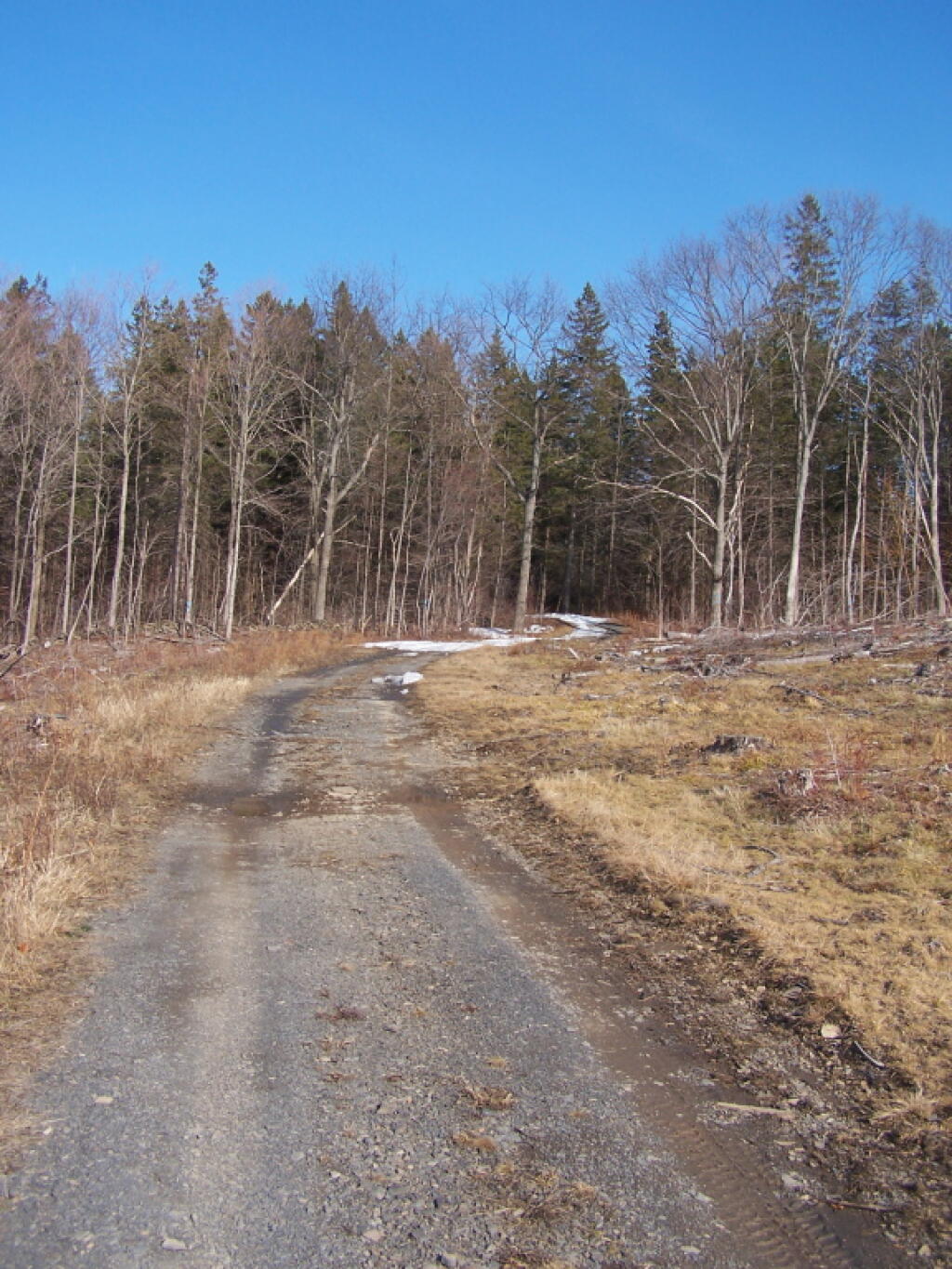 Photo: Walking Along the Truck Trail