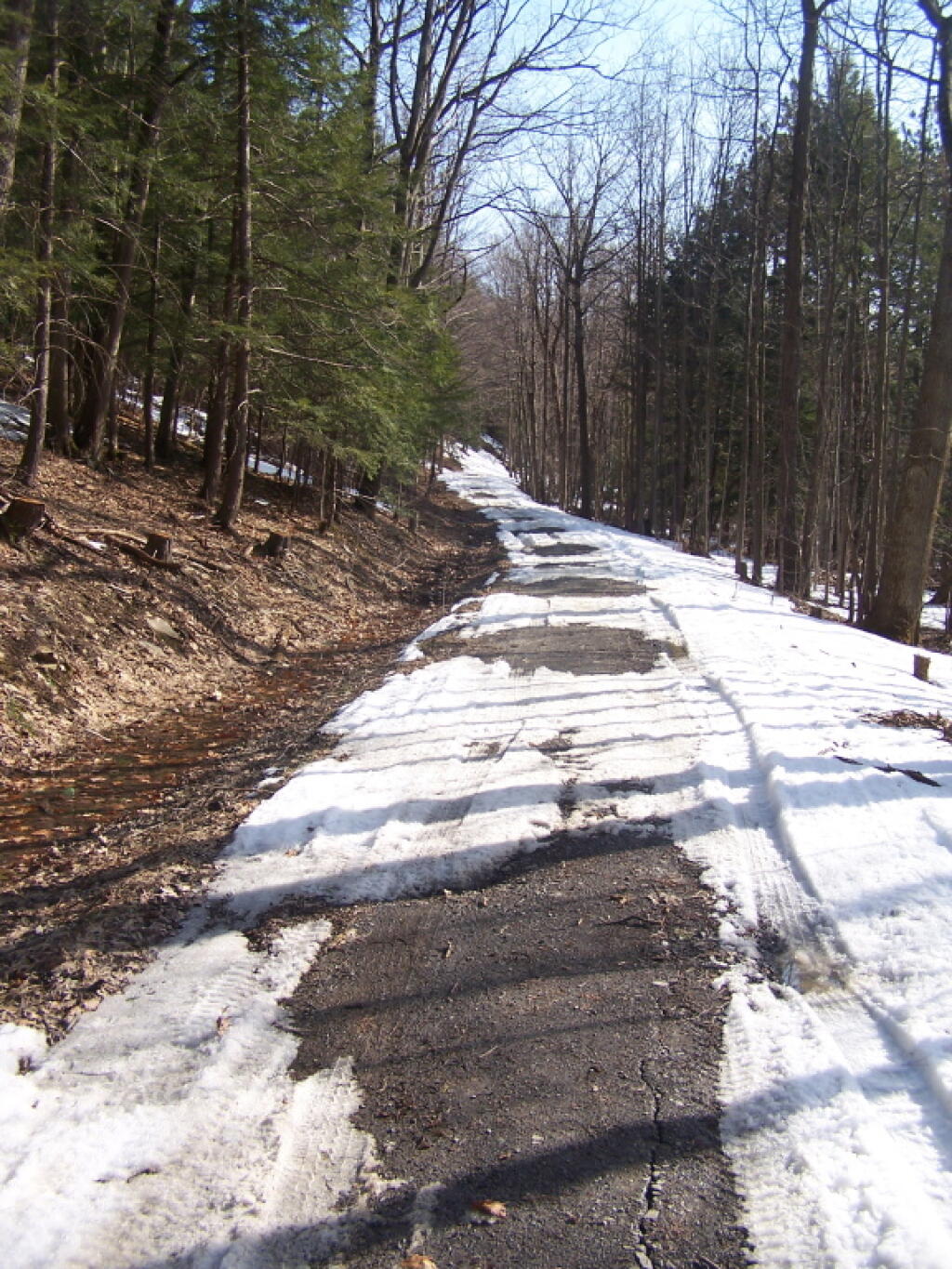 Photo: Snow and Ice Covered Truck Trail