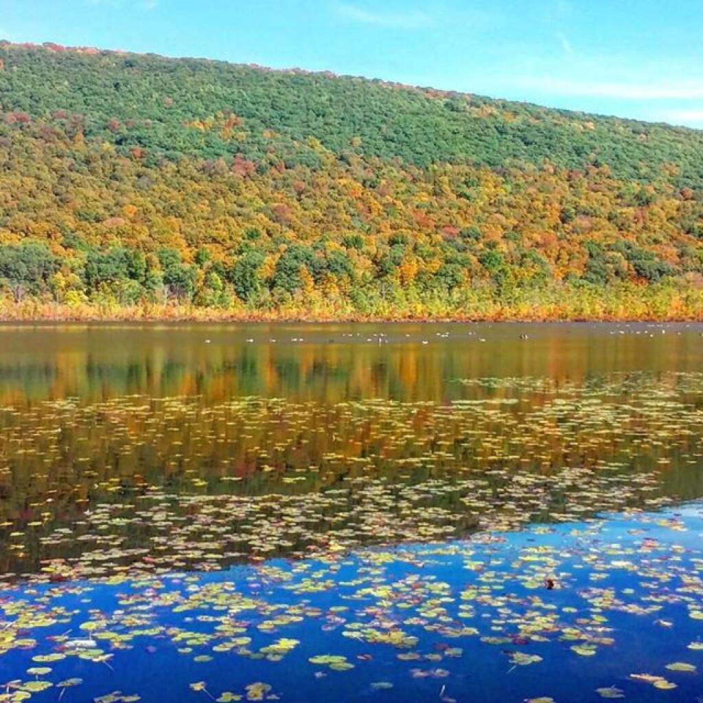 Photo: Jones Hill
