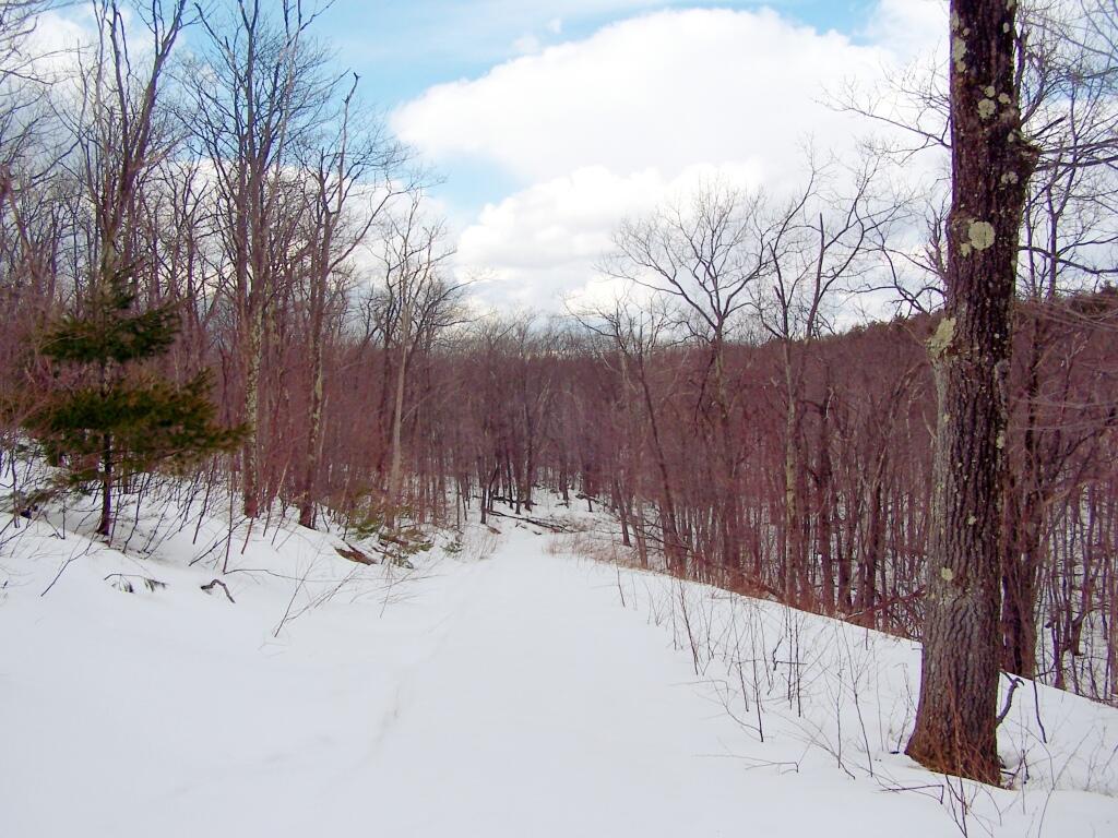Photo: Decending an Unnamed Hill Photo: Decending an Unnamed Hill