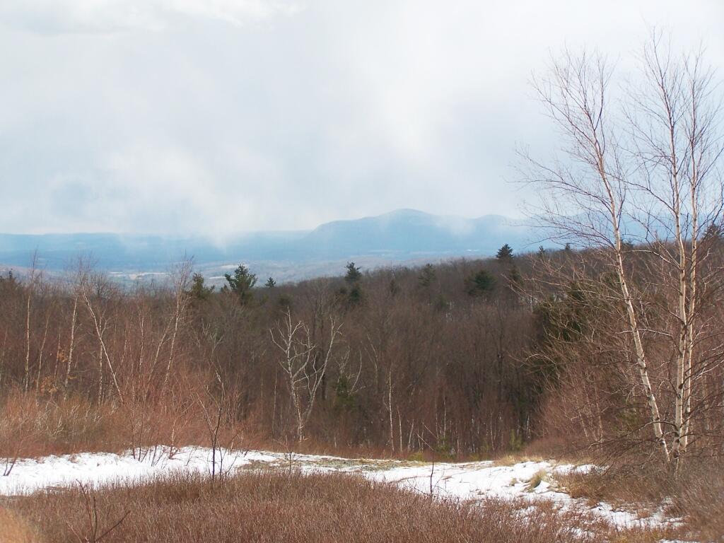 Photo: Towards Tom Ball Mountain Photo: Towards Tom Ball Mountain