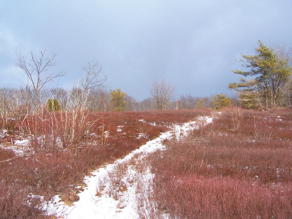 Photo: Hiking Towards State Line