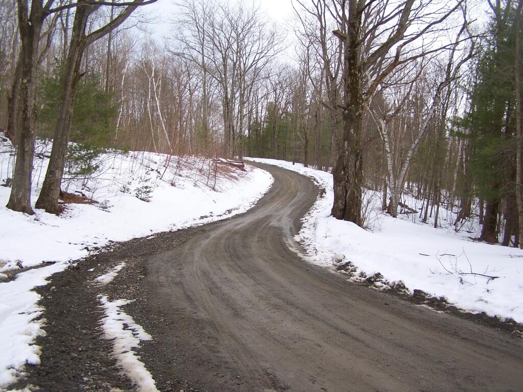 Photo: Harvey Mountain Truck Trail Photo: Harvey Mountain Truck Trail