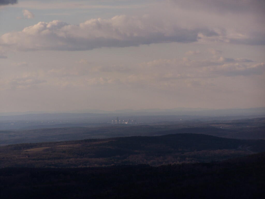 Photo: Albany
