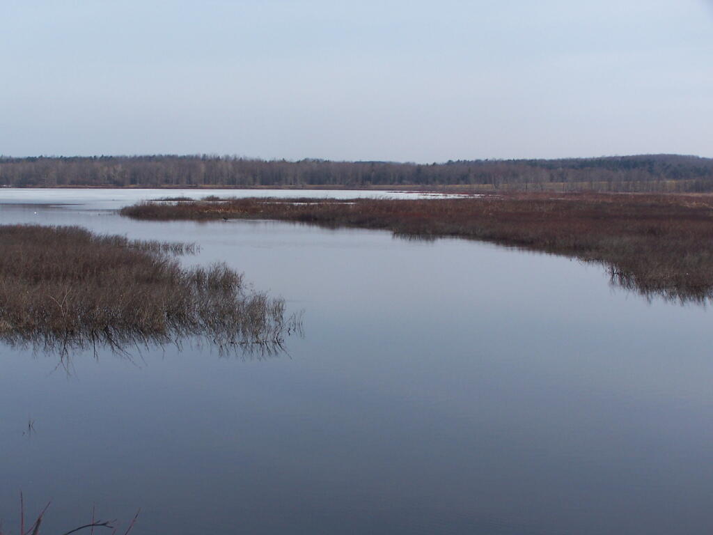 Photo: Weaver Lake