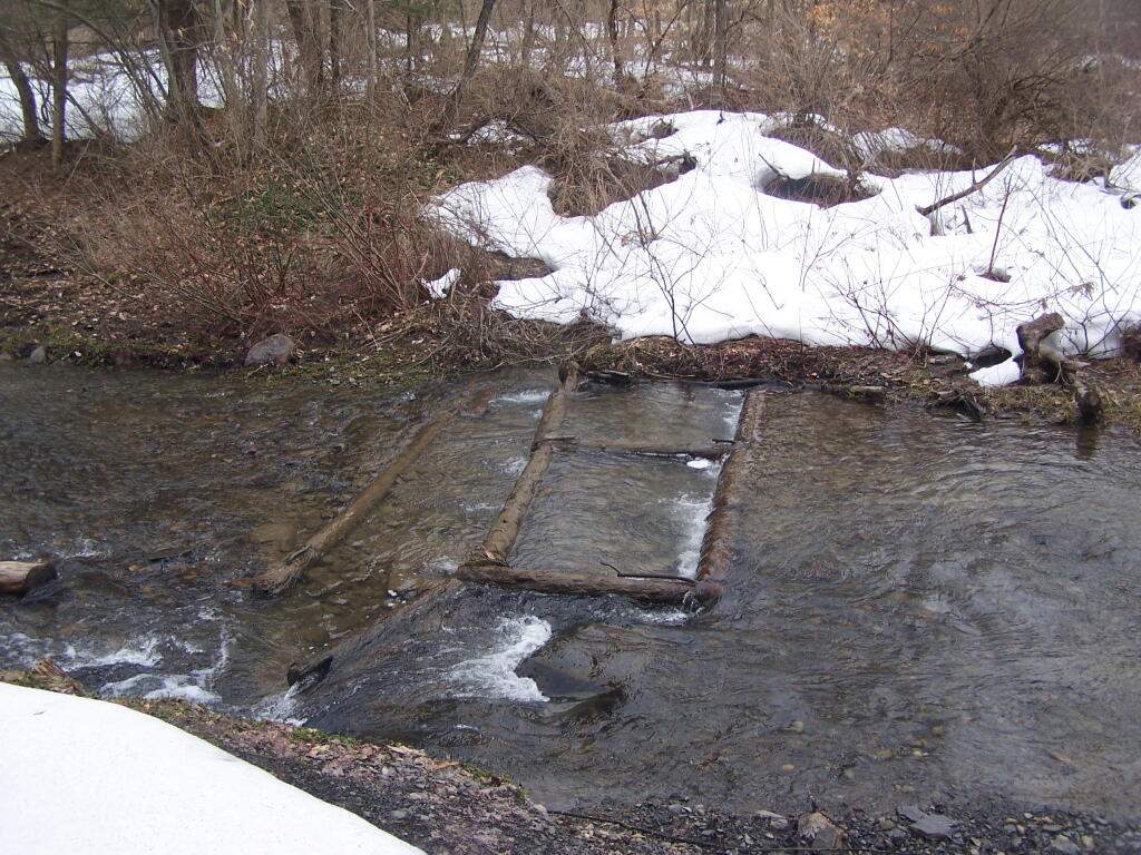 Photo: Trout Spawning Pools?