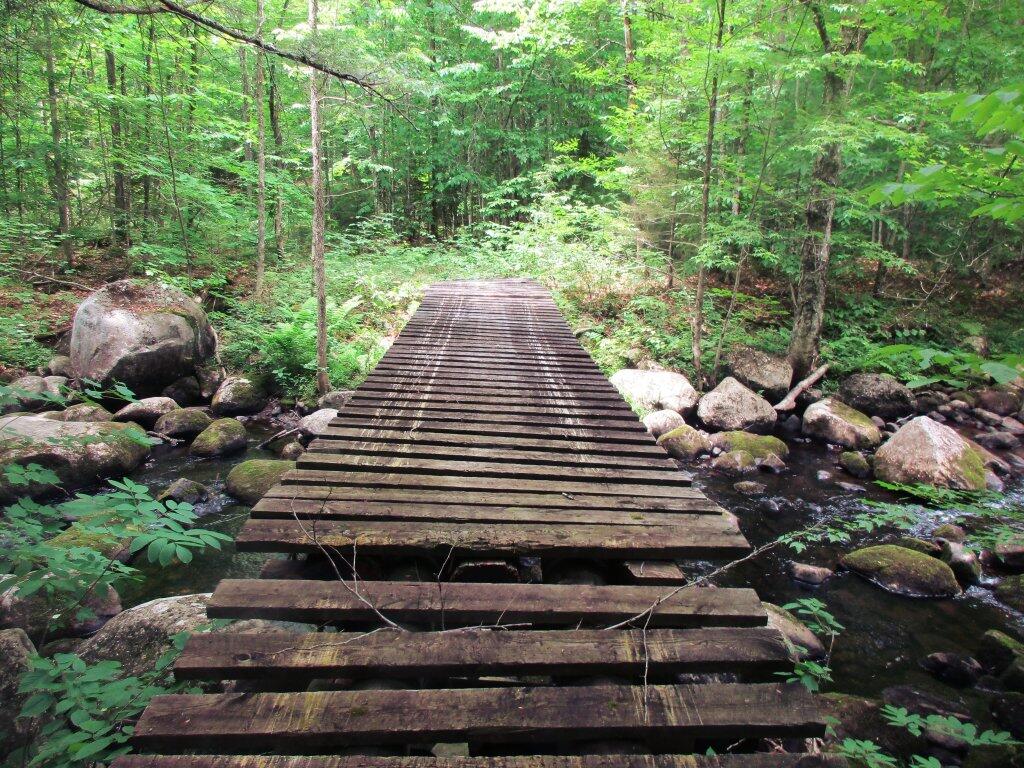 Photo: Bridge Over Wilcox Outlet