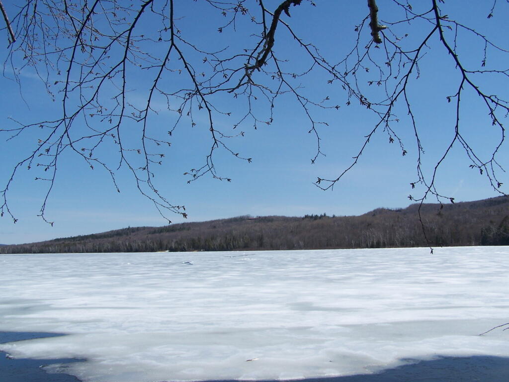Photo: Across 13th Pond Photo: Across 13th Pond