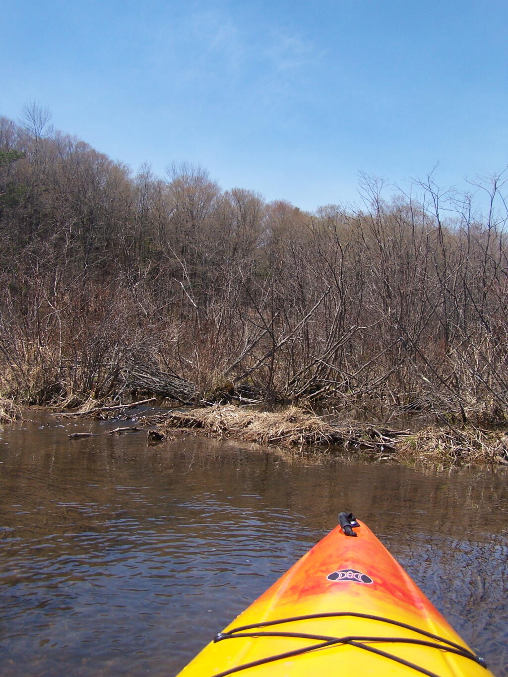 Photo: Swampy End of Tubbs Pond
