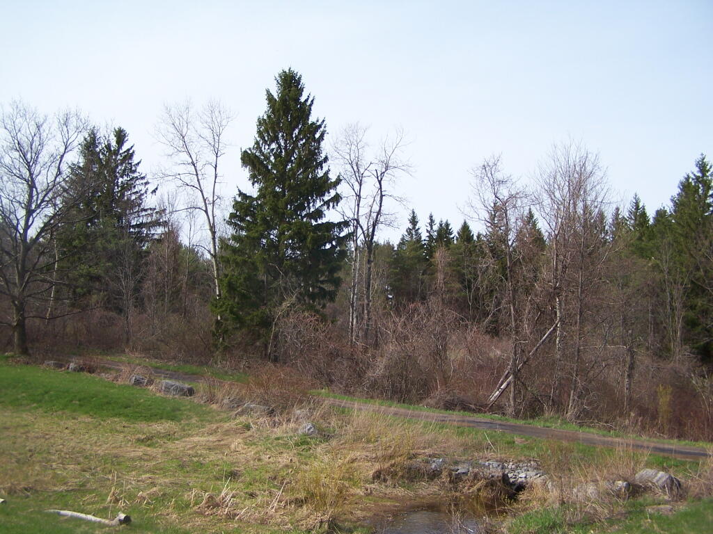 Photo: Beaver Road Photo: Beaver Road
