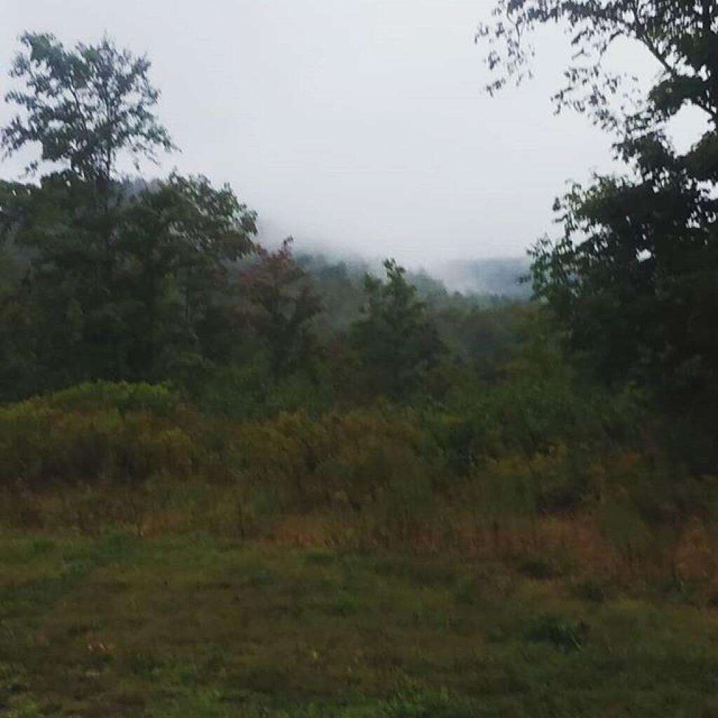 Photo: Rain has let up a bit Photo: Rain has let up a bit