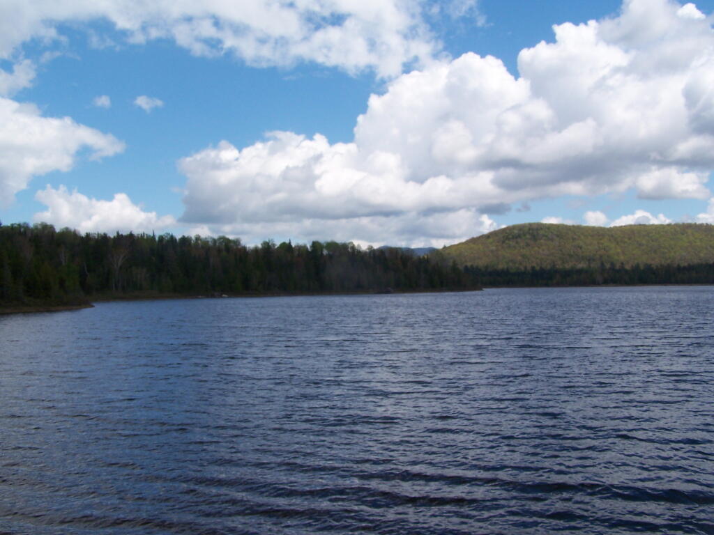 Photo: Cheney Pond Photo: Cheney Pond