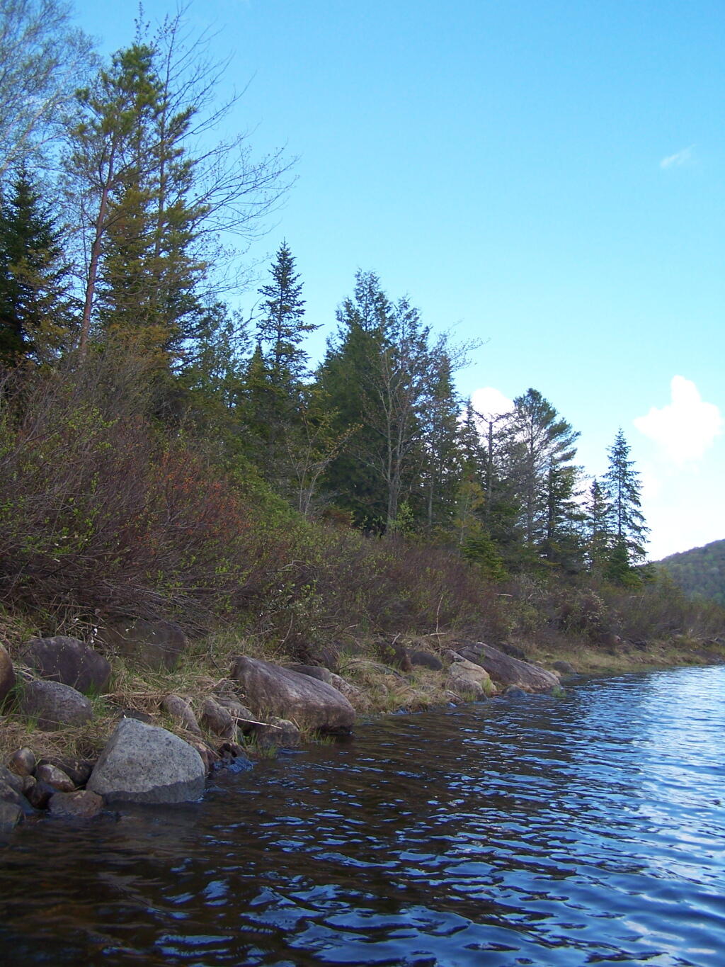 Photo: Along Edge of Cheney Pond Photo: Along Edge of Cheney Pond