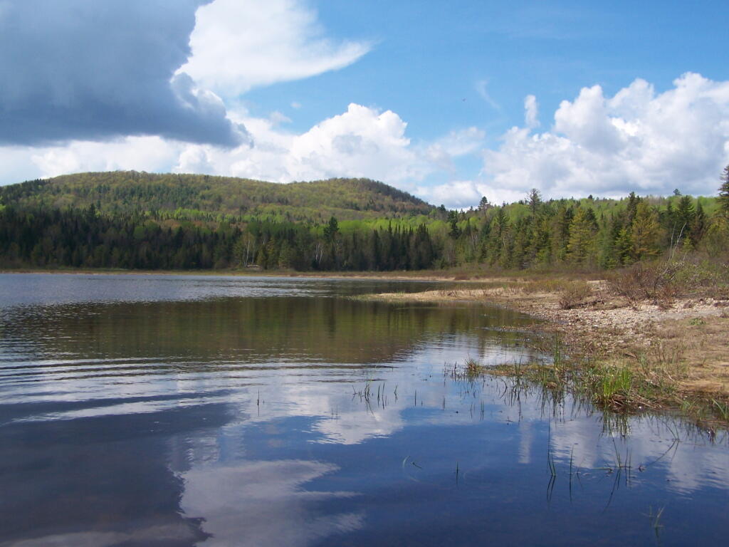 Photo: Sandy Bank of Cheney Pond Photo: Sandy Bank of Cheney Pond