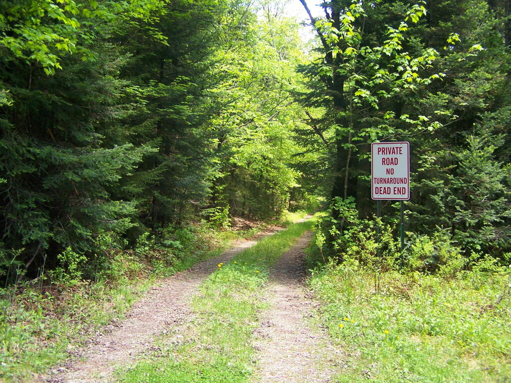 Photo: Ferris Lake Road