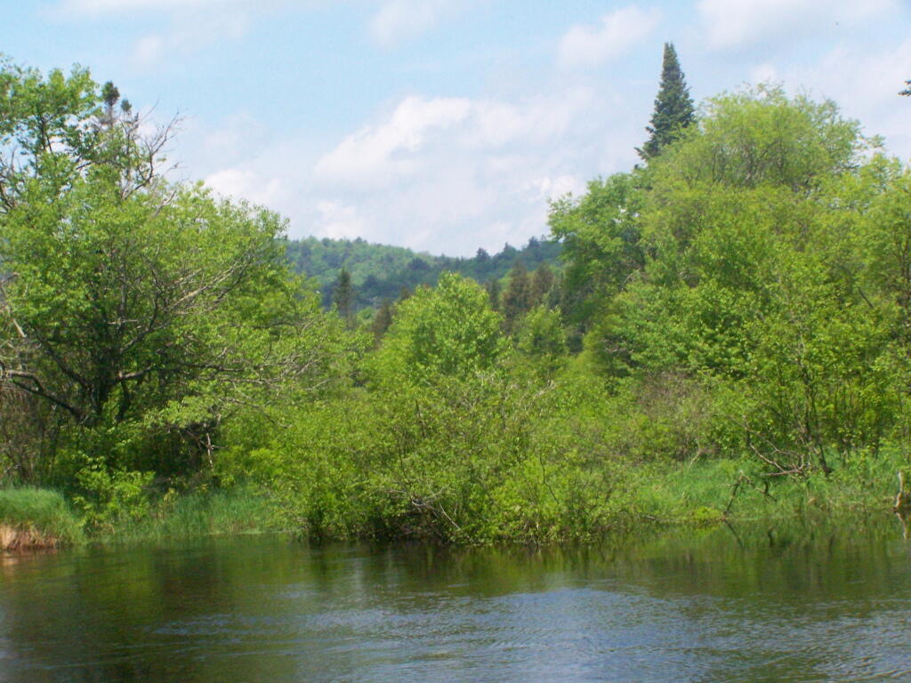 Photo: Spring Time