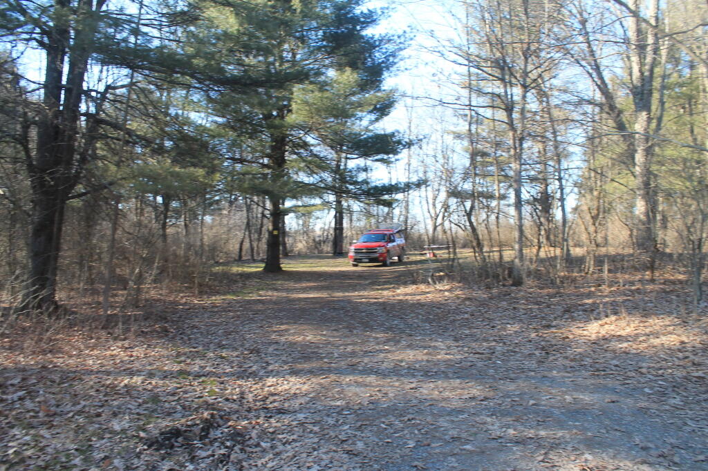 Photo: Campsite from the Truck Trail Down to Lake Photo: Campsite from the Truck Trail Down to Lake
