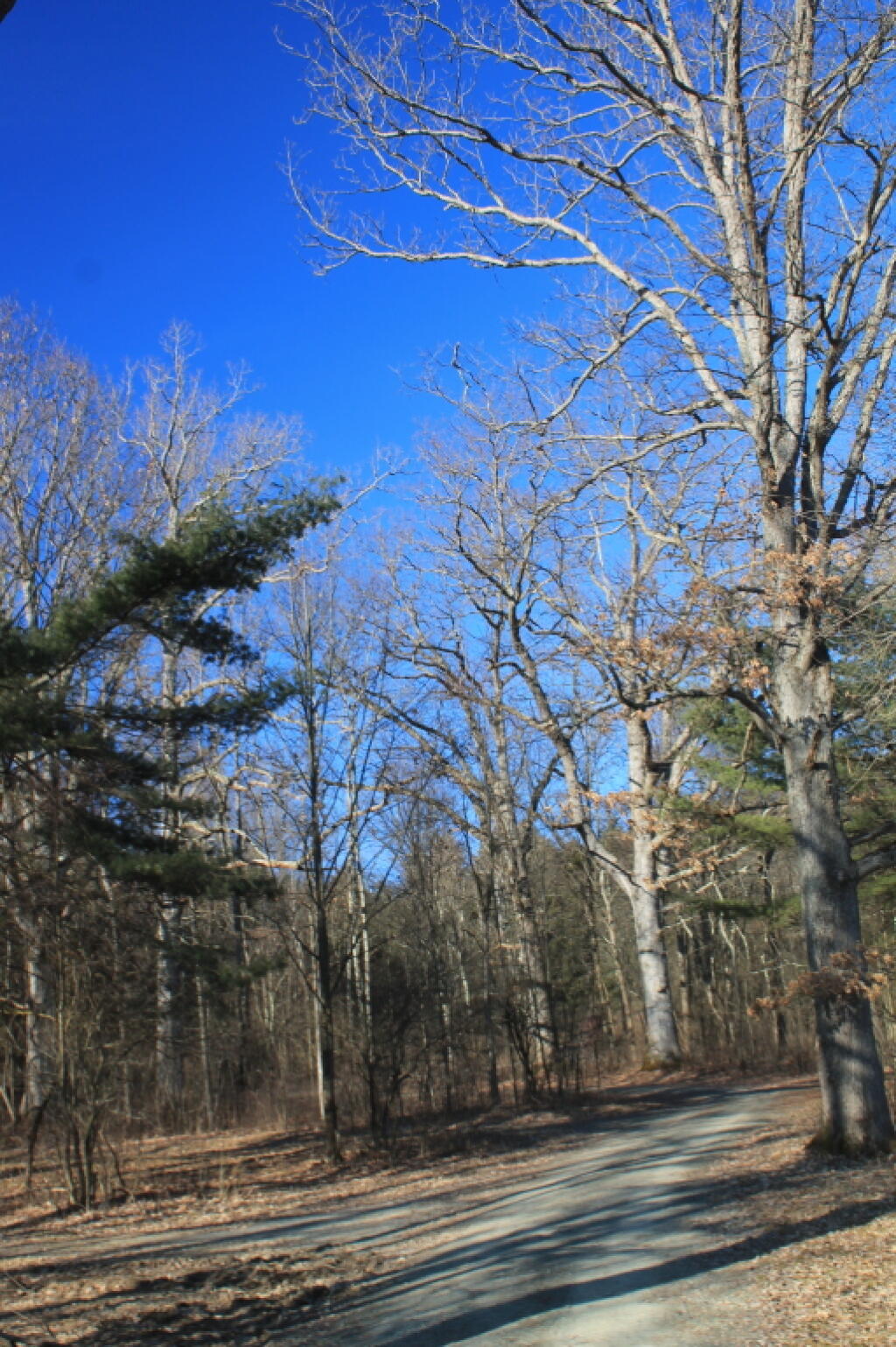 Photo: Truck Trail Photo: Truck Trail