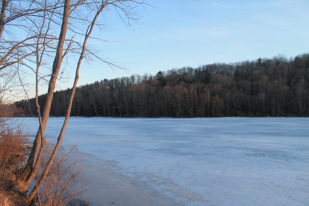 Photo: Ice Remains Photo: Ice Remains