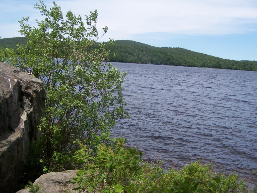 Photo: Reservoir Looking West