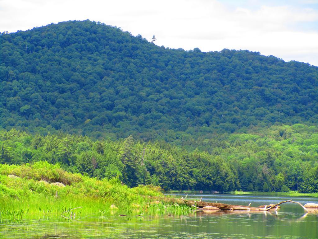 Photo: Spruce Mountain Photo: Spruce Mountain