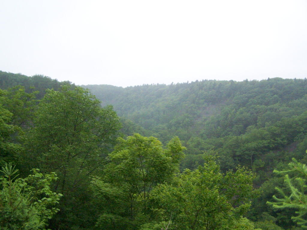 Photo: Gulf in Open Area Where Powerline Is