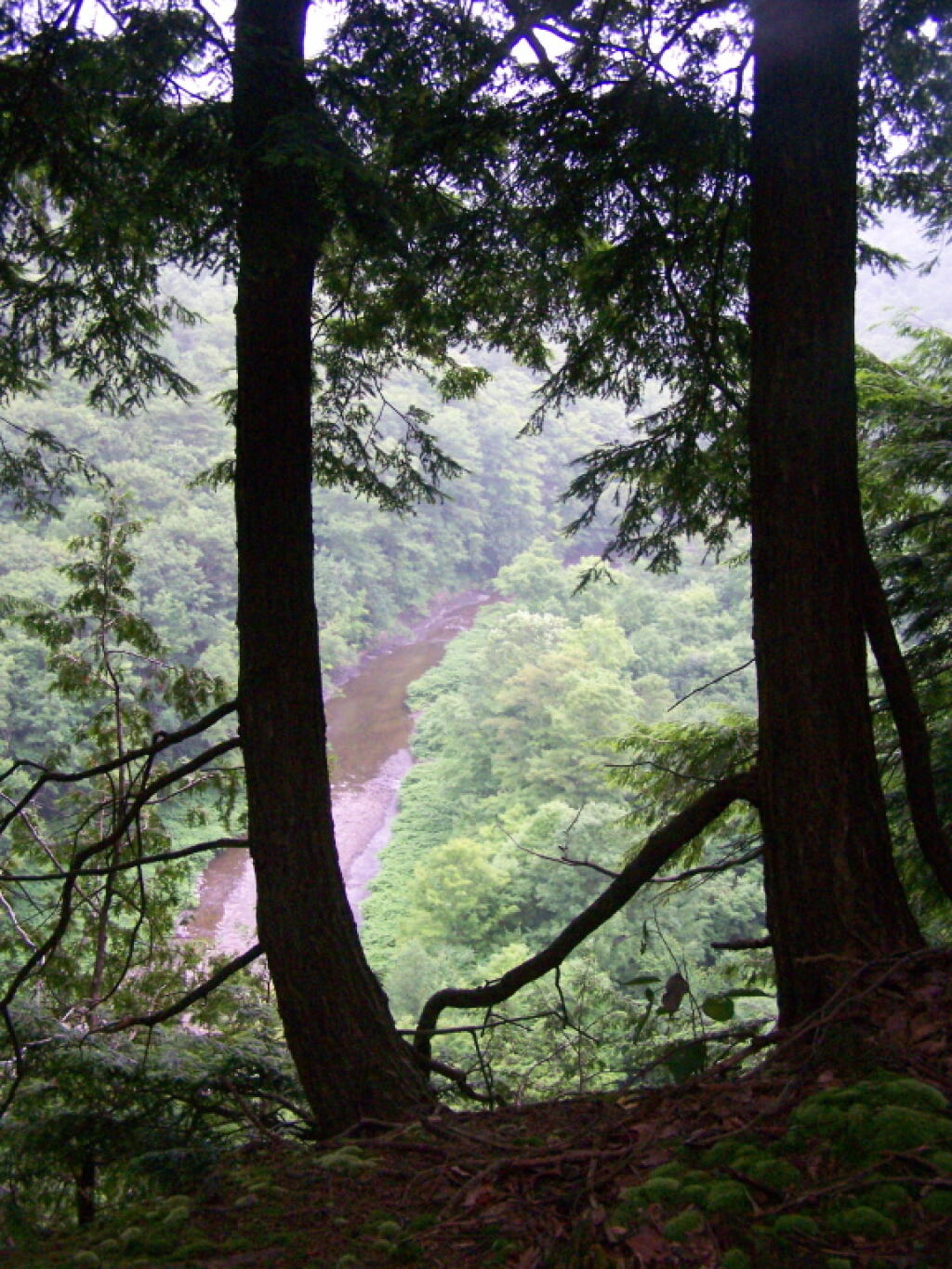 Photo: Inman Stream Below
