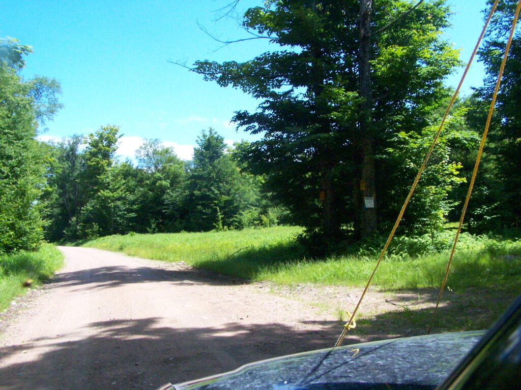 Photo: Heading Past Bald Mountain Spur Road