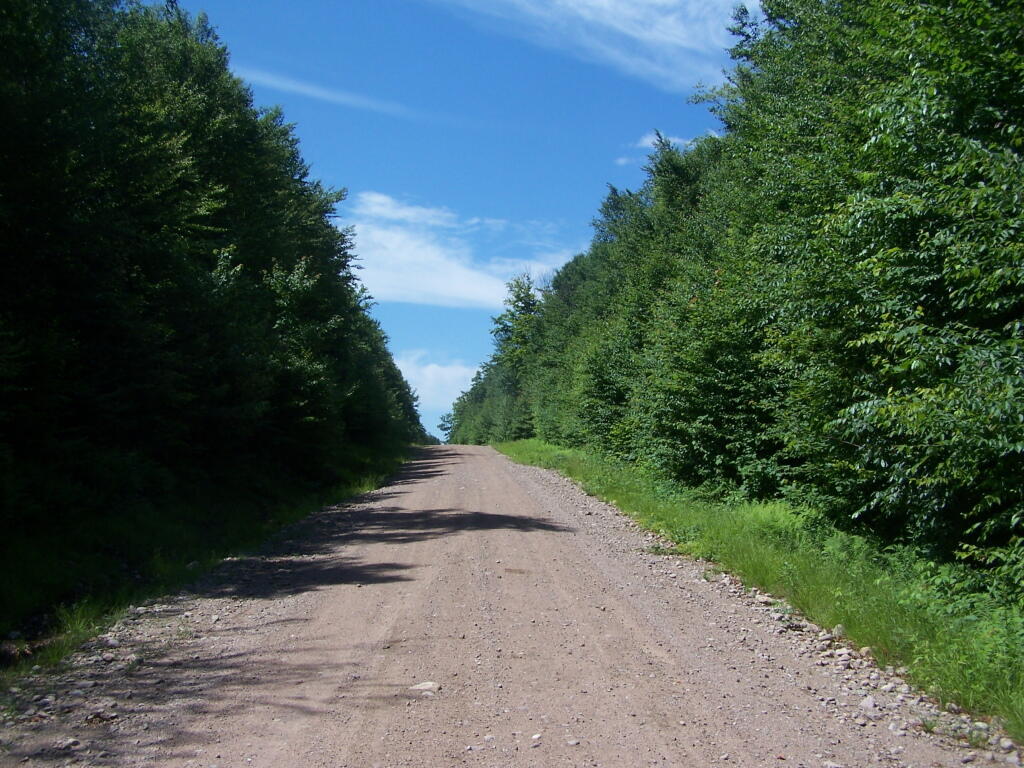 Photo: Descending Bald Mountain Photo: Descending Bald Mountain