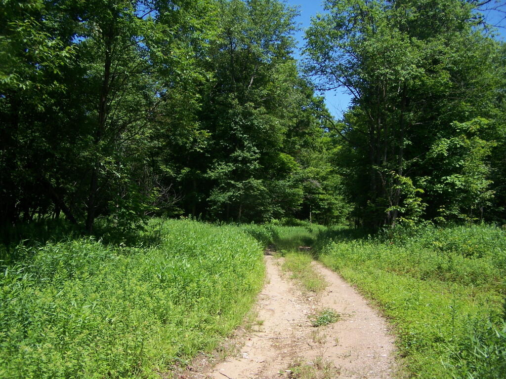 Photo: Number One Truck Trail Photo: Number One Truck Trail