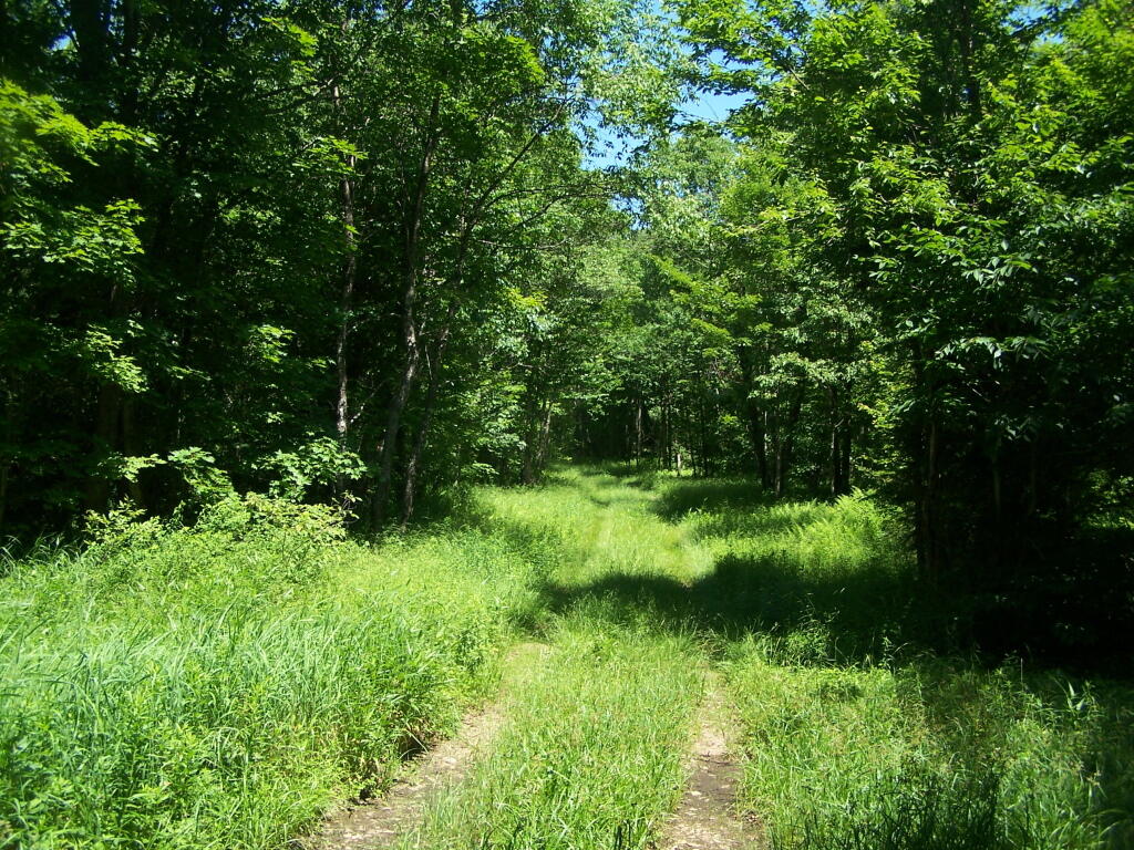 Photo: Is This the Number One Truck Trail Spur? Photo: Is This the Number One Truck Trail Spur?