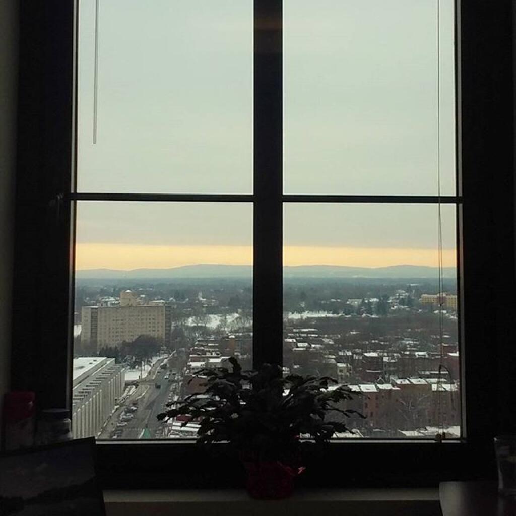 Photo: Christmas Cactus Looks Upon Dull Skies